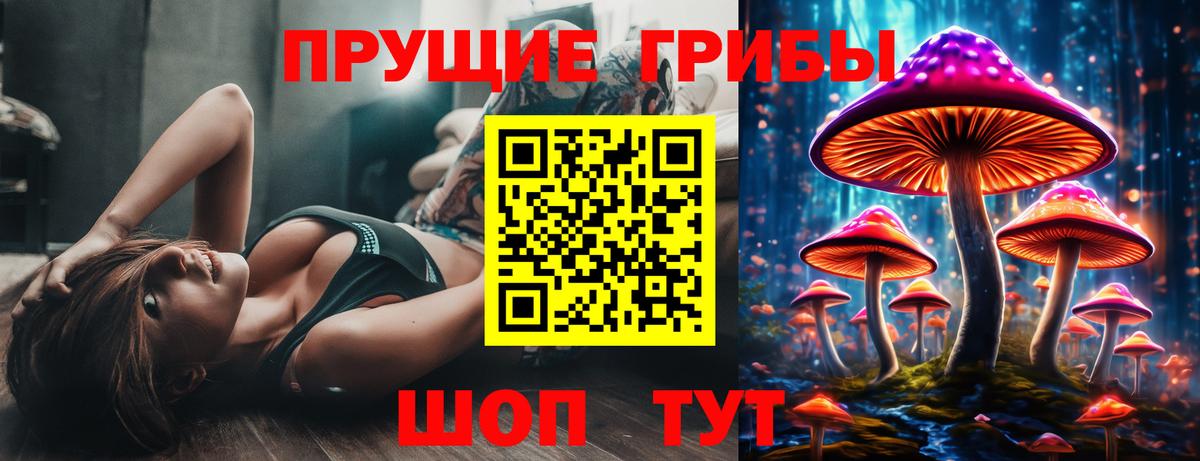 Псилоцибиновые грибы мицелий Тамбов
