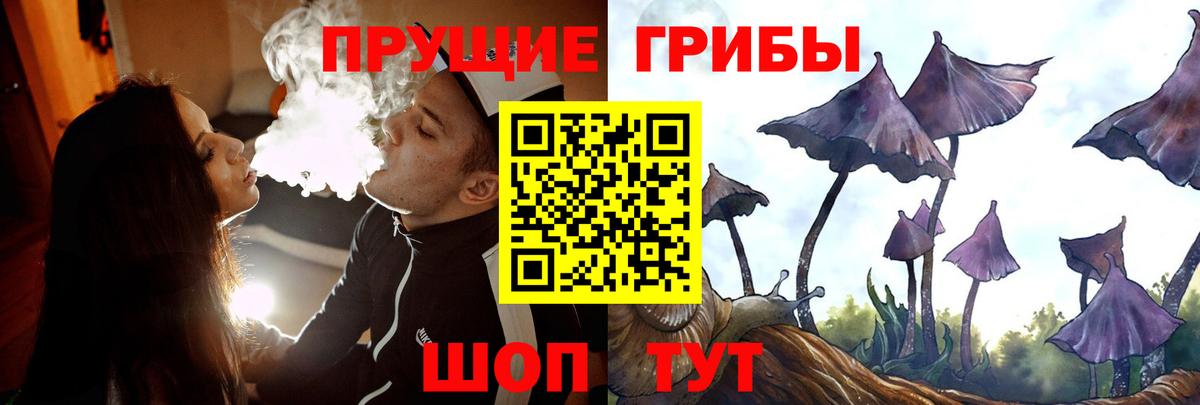 Псилоцибиновые грибы Cubensis  Вход с VPN  Тамбов 